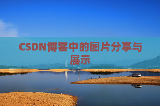 CSDN博客中的图片分享与展示